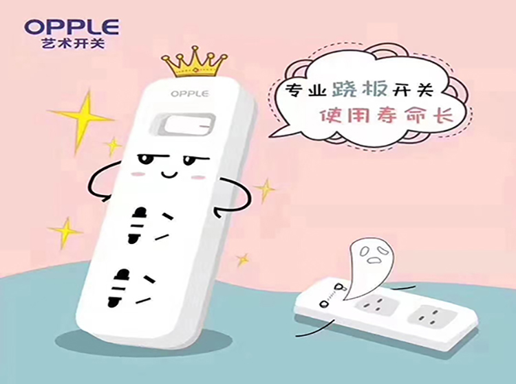 专业跷板开关插排.jpg
